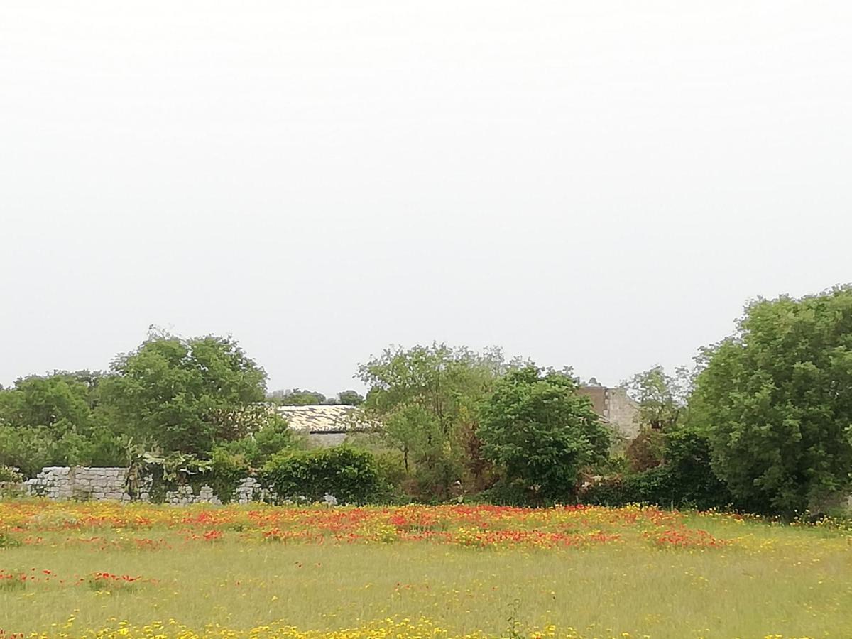 Agriturismo Fondo Paliemmu 모디카 외부 사진