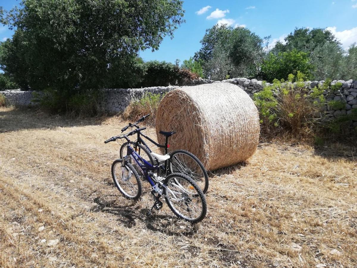 Agriturismo Fondo Paliemmu 모디카 외부 사진